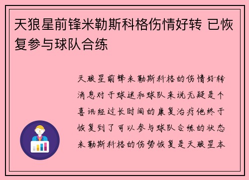 天狼星前锋米勒斯科格伤情好转 已恢复参与球队合练